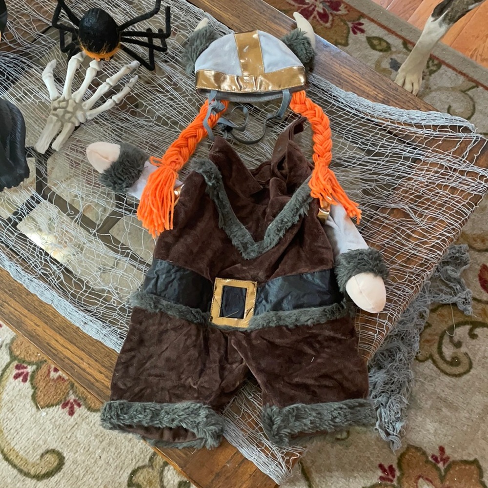 Pet Viking costume